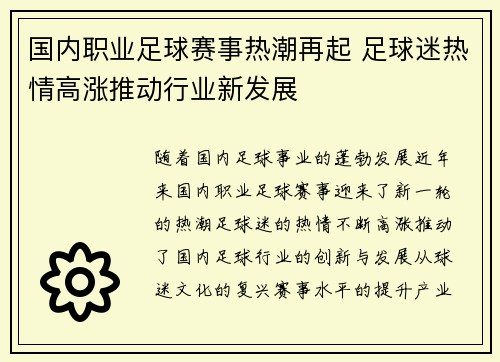 国内职业足球赛事热潮再起 足球迷热情高涨推动行业新发展