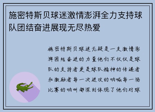 施密特斯贝球迷激情澎湃全力支持球队团结奋进展现无尽热爱
