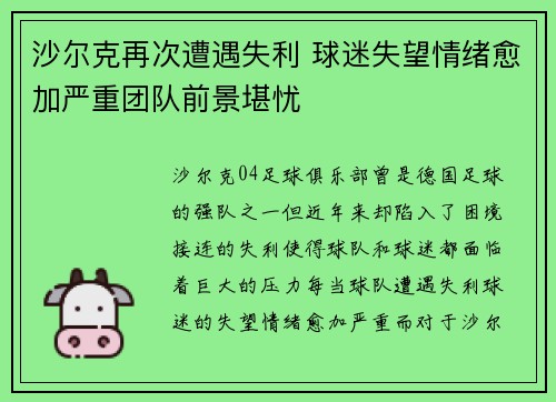 沙尔克再次遭遇失利 球迷失望情绪愈加严重团队前景堪忧