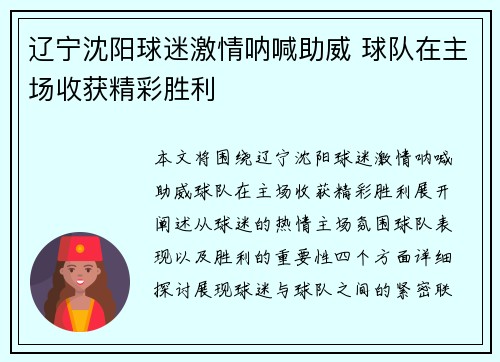 辽宁沈阳球迷激情呐喊助威 球队在主场收获精彩胜利